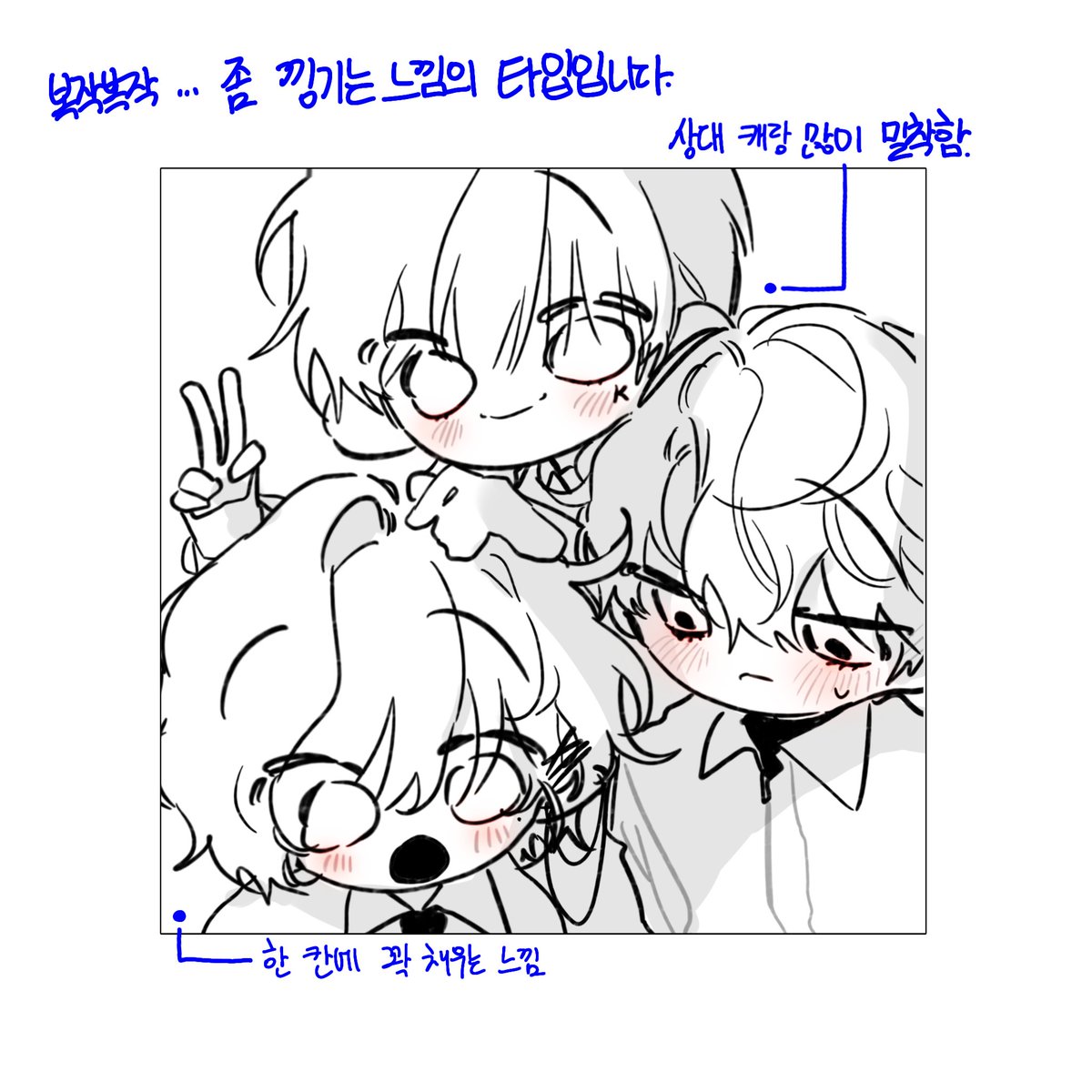 채띠 tweet media