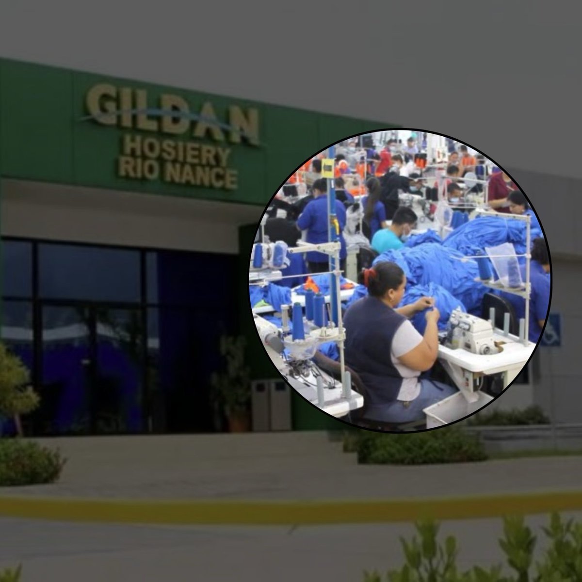 CesiaMejiaHN's tweet photo. ➪MÁS DESEMPLEO: La empresa Gildan Hosiery-Río Nance, ubicada en Choloma, confirmó el cierre definitivo de sus operaciones para junio, lo que dejará sin empleo a unos 600 trabajadores restantes y eleva el impacto total a cerca de 1,700 despidos en la zona. Según dirigentes sindicales, la compañía venía reduciendo operaciones desde inicios de año por una supuesta baja en la demanda de calcetines, lo que finalmente derivó en el traslado de producción hacia El Salvador.