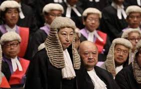 lawyu tweet media