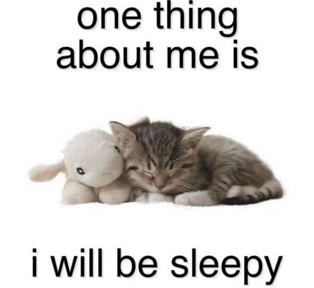 smol silly cat tweet media