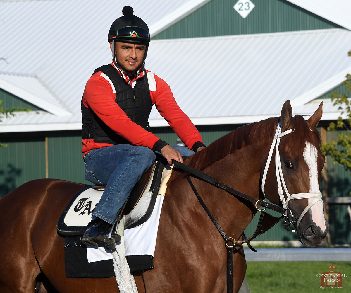 Centennial_Farm's tweet photo. Happy #sideeyeSaturday (is that a thing?) from the side-eye king of #BelmontPark. #goBabyPgo https://t.co/uymUJ0zCgA
