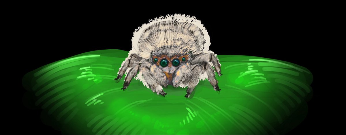 EG_creature tweet media