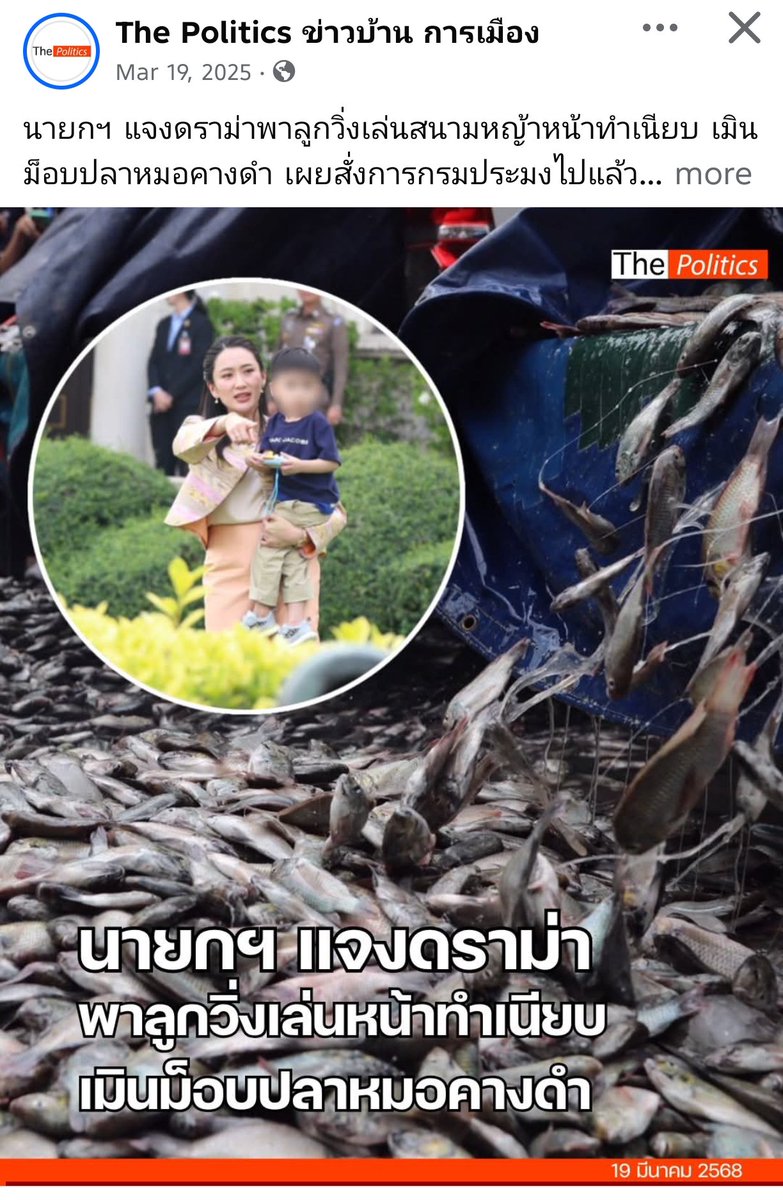 นายอะมีบา (rest) tweet media