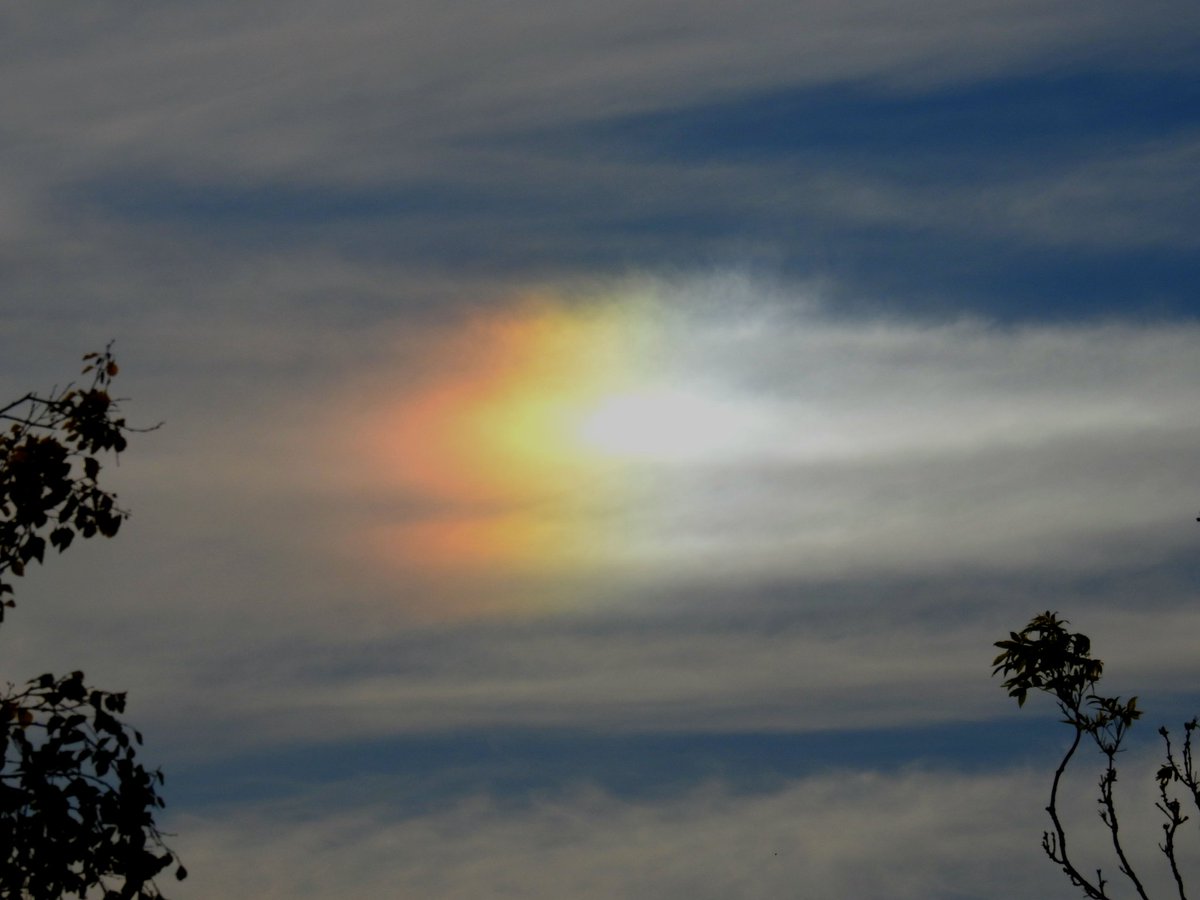 mildthing99's tweet photo. #Sundogs (#parhelion) 22° north and south of the sun over #SwaleEstuary seen from #TankertonBay
@WhitstableLive @CloudAppSoc @metoffice @StormHour @ThePhotoHour #StormHour #getoutside https://t.co/OEjTu8PwxK