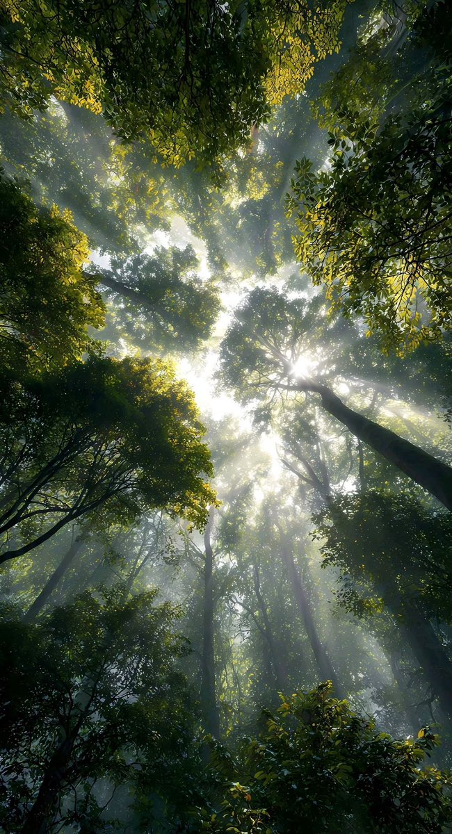 greenvibe's tweet photo. peace.. https://t.co/W9sexfNFI6