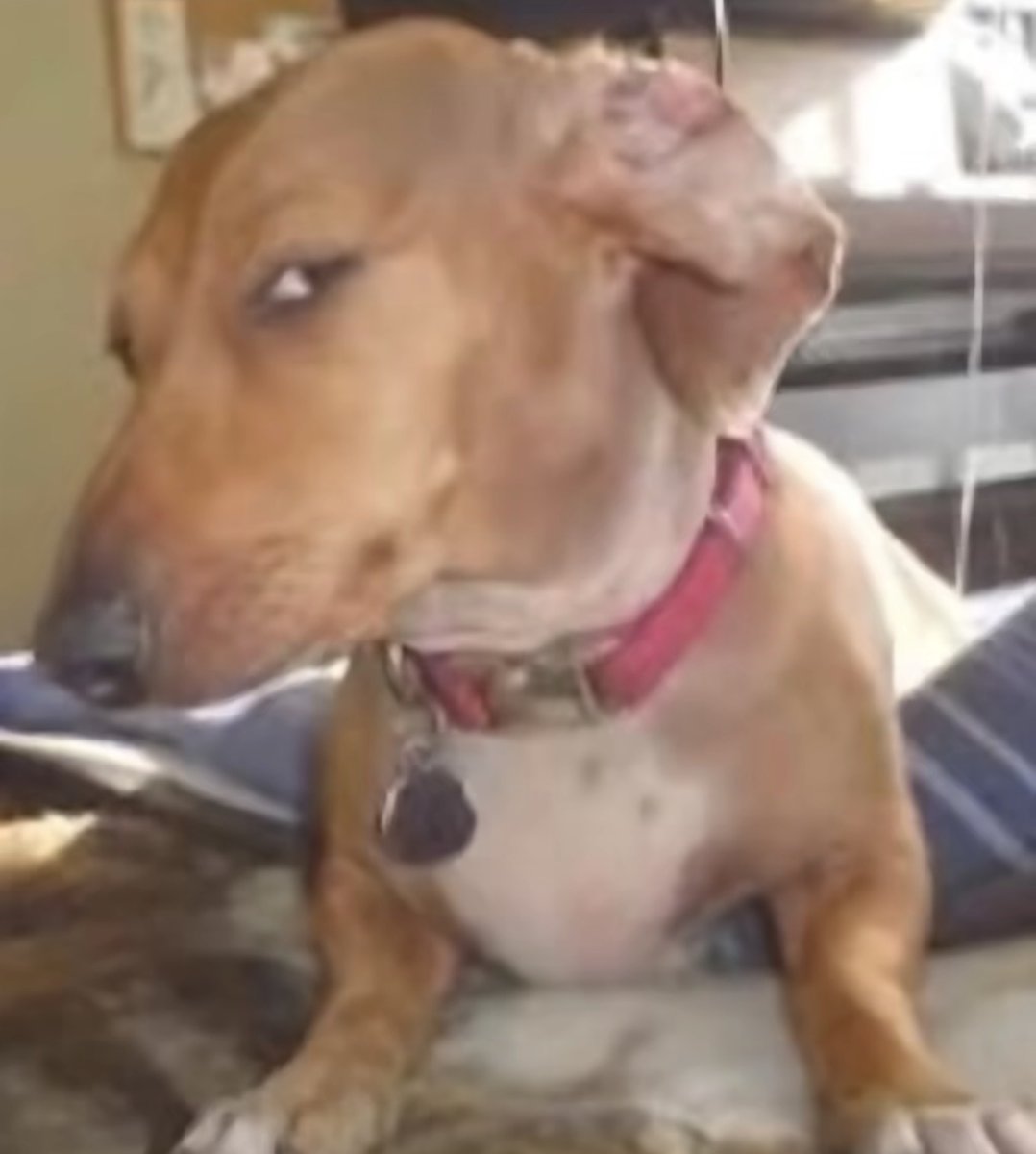 buckedup's tweet photo. POV: you hear someone say they don't need pre-workout https://t.co/gbYHJO02wj