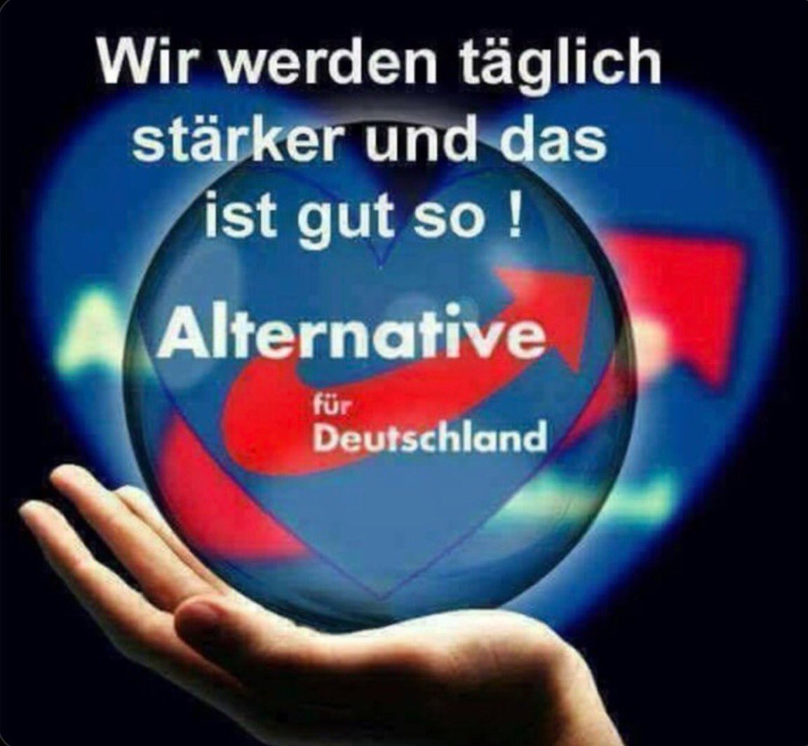 wegmitdengrünen tweet media