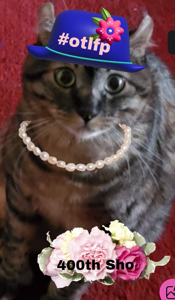all_fur_matters's tweet photo. To Pixie an Millie💗🌸
Fur 400 shos, yu hav enterwained us, infowmed us, ibtwodooce us to noo fwends, let us bee wiff long tyme fwends,teech us to #BeFind, an halp anipals to be wesuced.
Yu boff intewnasunal tweasures.
To 400 mor... 🍾 https://t.co/LfKPc8CmET
