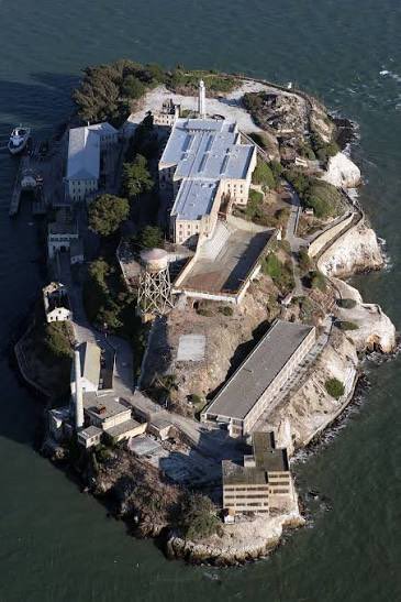 Massilia Zone tweet media