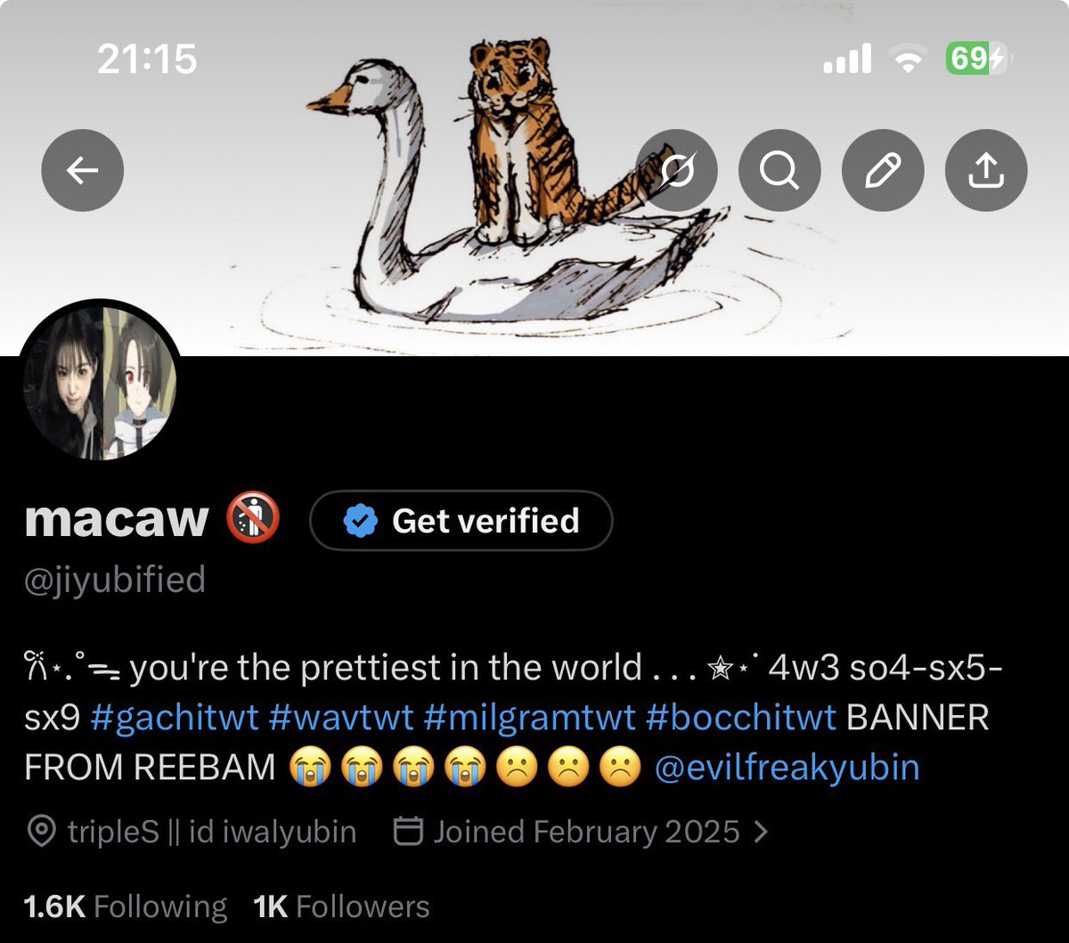 macaw 🚯 tweet media