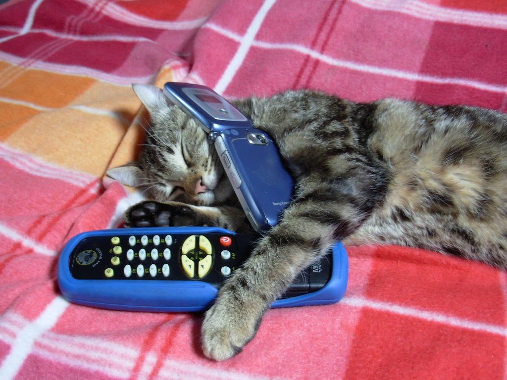 OldInternetFeel's tweet photo. 2006 https://t.co/47NvhE91DU