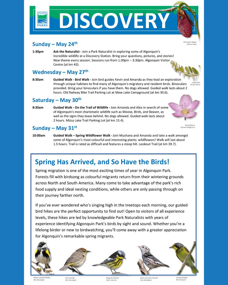Algonquin_PP's tweet photo. Discover what is happening THIS MAY in Algonquin Park! 
️ 🌼  
You can also find our schedule on our events page at: 
https://t.co/C9AUHXuMF3 
🦆
There’s something for everyone. Come join in on the fun! https://t.co/IAuK65cpiY