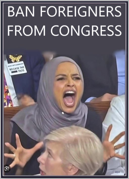 <a href="/EricLDaugh/">Eric Daugherty</a> <a href="/teemuch/">Tim Mauch</a> Why the foreign born AntiAmericans should never be elected into the US Congress