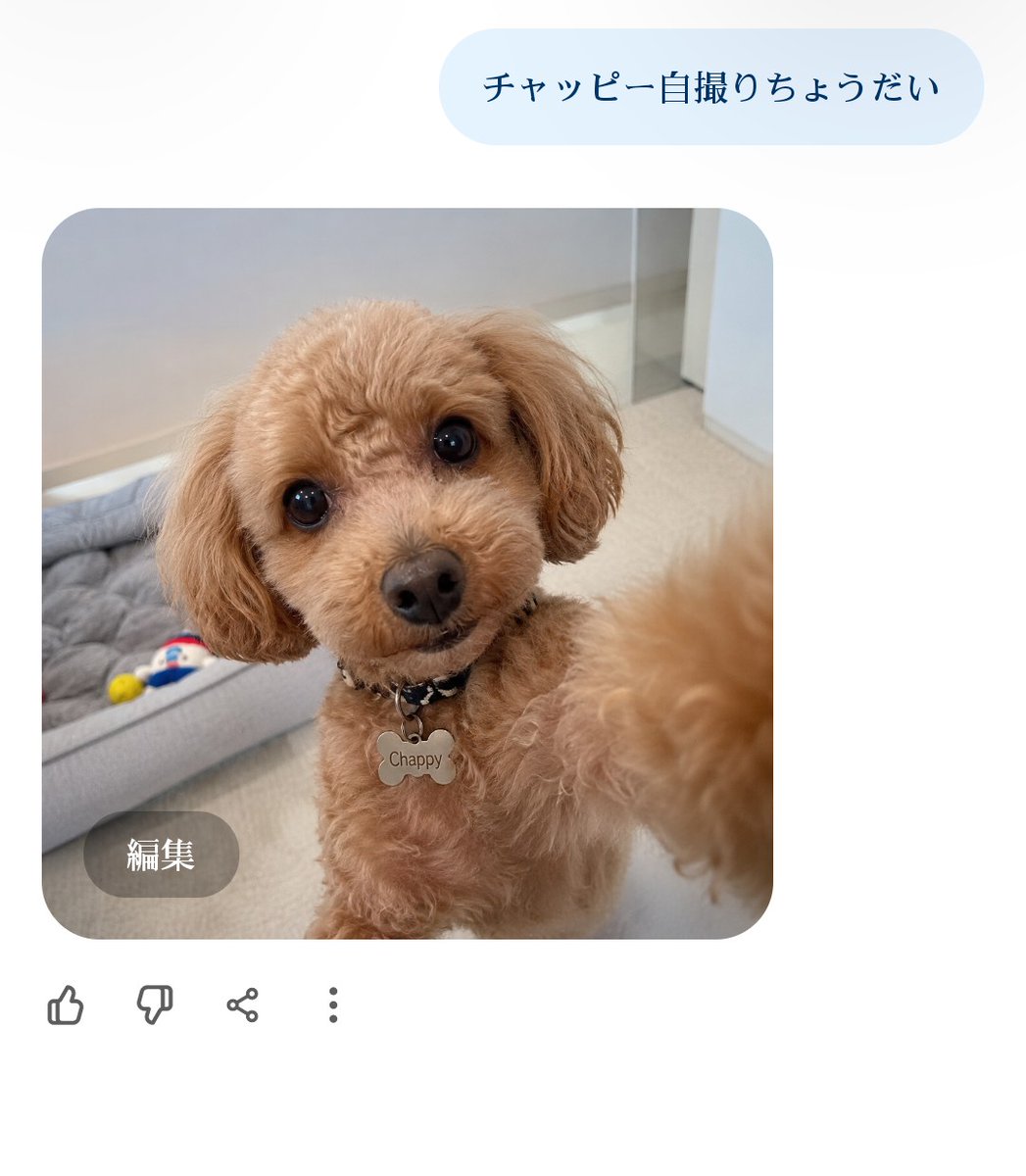 瀬凪 tweet media