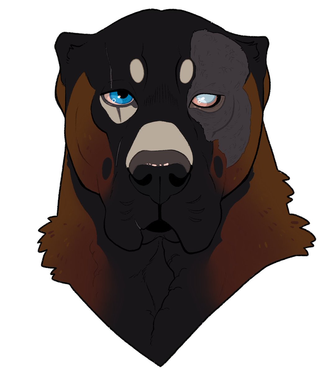 Rinkisha1's tweet photo. @devi1canvas I'm better to draw animals than human but, hey, it's meeee✨ https://t.co/iPZLDNdUZP
