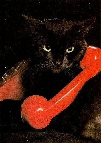 Black. (@blackdreamvibes) on Twitter photo 