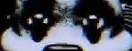 𝟚 𝔽𝕦𝕟 𝟚 𝔹𝕖𝕒𝕣 tweet media