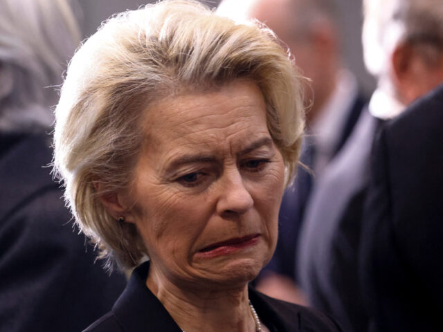 Fleur Morel tweet media