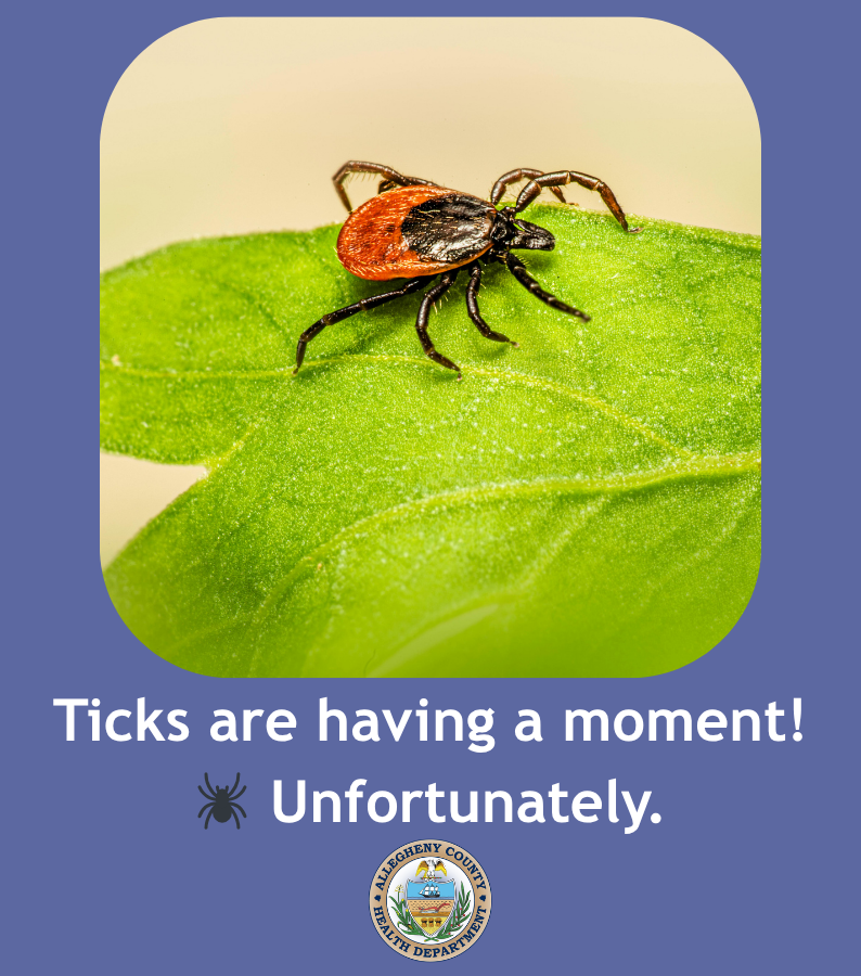 HealthAllegheny's tweet photo. Across the U.S., tick populations are on the rise, and they’re not just a nuisance. 
Warmer winters, expanding wildlife habitats, and shifting ecosystems are creating ideal conditions for ticks to thrive (and spread diseases like Lyme, anaplasmosis and babesia).
 
What does this mean for us in Allegheny County?
More ticks, in more places, for more of the year.
 
But there’s no need to get ticked off! Here’s how to stay ahead of them:
👕 Dress defensively
Light-colored clothing makes ticks easier to spot. Long sleeves, long pants, and tucking pants into socks may not win style points, but they work.
 
🧴 Use repellent strategically
Apply EPA-approved repellents with DEET, picaridin, or IR3535 on skin. Treat clothing and gear with permethrin for an added layer of protection.
 
🚶‍♂️ Stay on the trail
Ticks love tall grass, leaf litter, and brush. Keep to the center of trails and avoid brushing against vegetation.
 
🔍 Check early, check often
Do a full-body check after being outdoors, especially behind knees, under arms, along the hairline, and around the waist.
 
🚿 Shower within two hours
This helps wash off unattached ticks and gives you a chance to do a thorough inspection.
 
🐶 Don’t forget pets
Dogs can bring ticks into your home. Use vet-recommended preventatives and check them regularly.
 
Stay smart, stay protected, and keep exploring.
 
Learn more about tick safety:
https://t.co/W63DvfIDQX
 
#OutdoorSafety #TickAwareness #HealthyLiving #HikingTips #SummerReady #ticks #PublicHealth #health