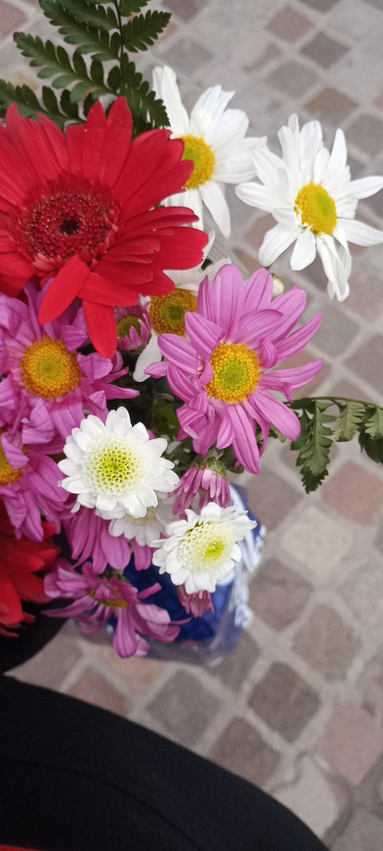 Me regalaron mis primeras flores