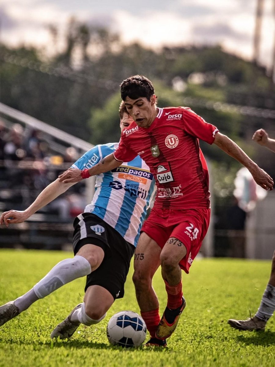 VozSalto's tweet photo. #CopaDeClubesDeOFI Debut con victoria del actual monarca de la A

Universitario venció 3 a 1 como visitante a Uruguay de Bella Unión.
Fornaroli, Sotelo y Morales, los goles salteños.
Carlos Nuñez marcó el gol local. https://t.co/pyAD192fNZ