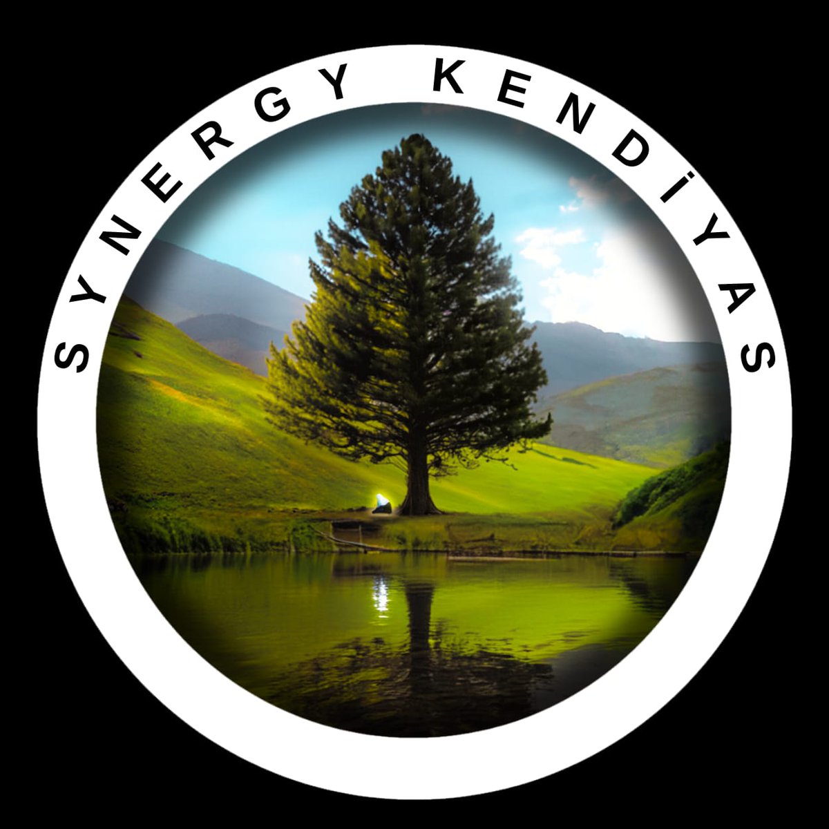 Synergy Kendiyas tweet media