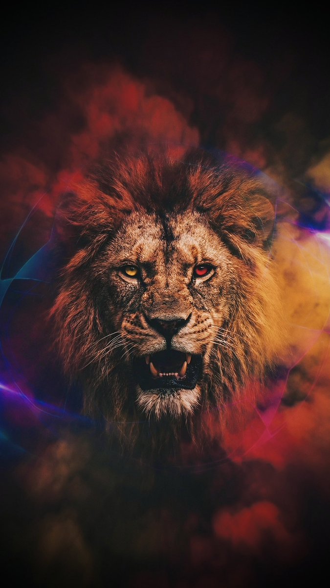 evyapimierkekk's tweet photo. Şampiyon Galatasaray https://t.co/63fuh7ElE8