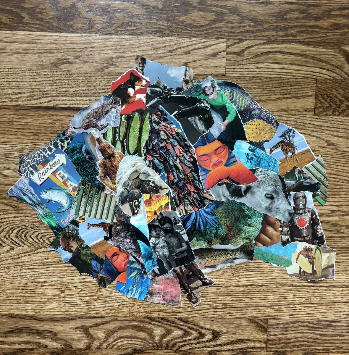 Collage The World tweet media