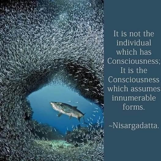 Nonduality | Advaita tweet media