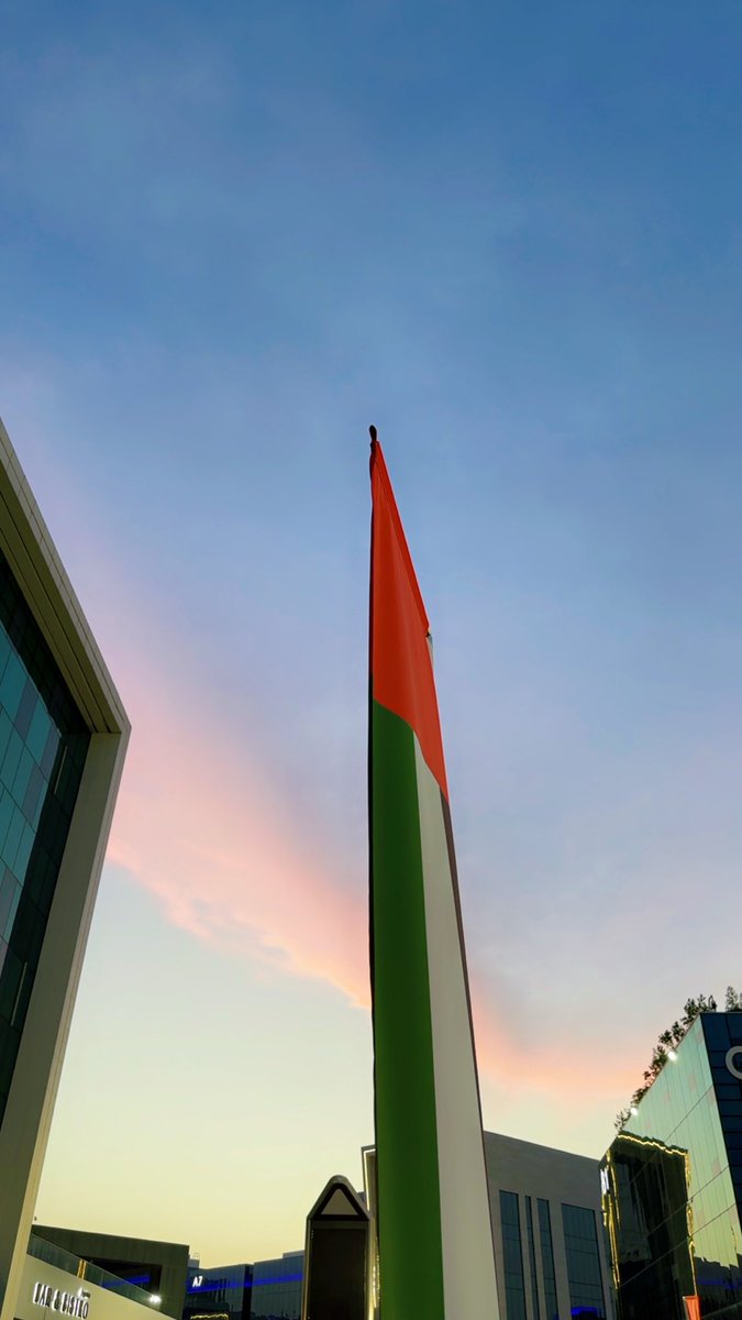 UsmanWorld's tweet photo. Spirit of the UAE Walk - Silicon Oasis, Dubai https://t.co/TMVxd4pJhK