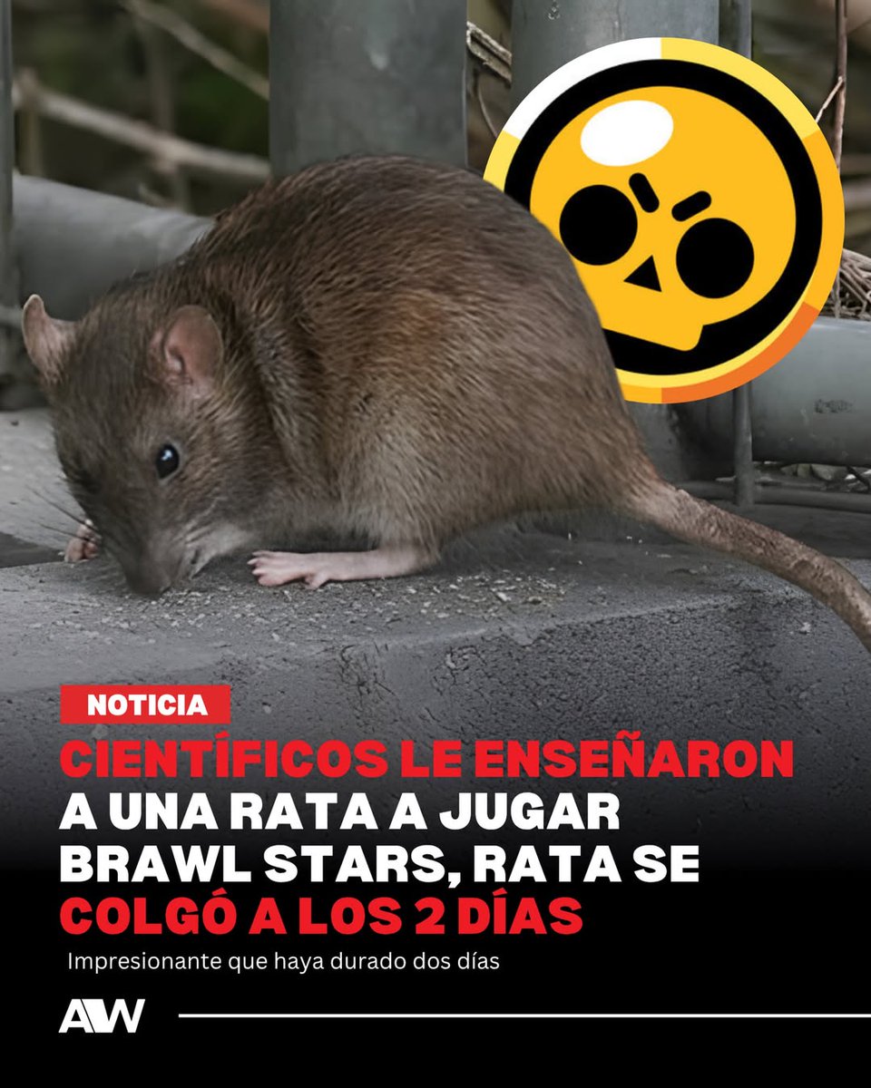 jugodenaranja9 tweet media