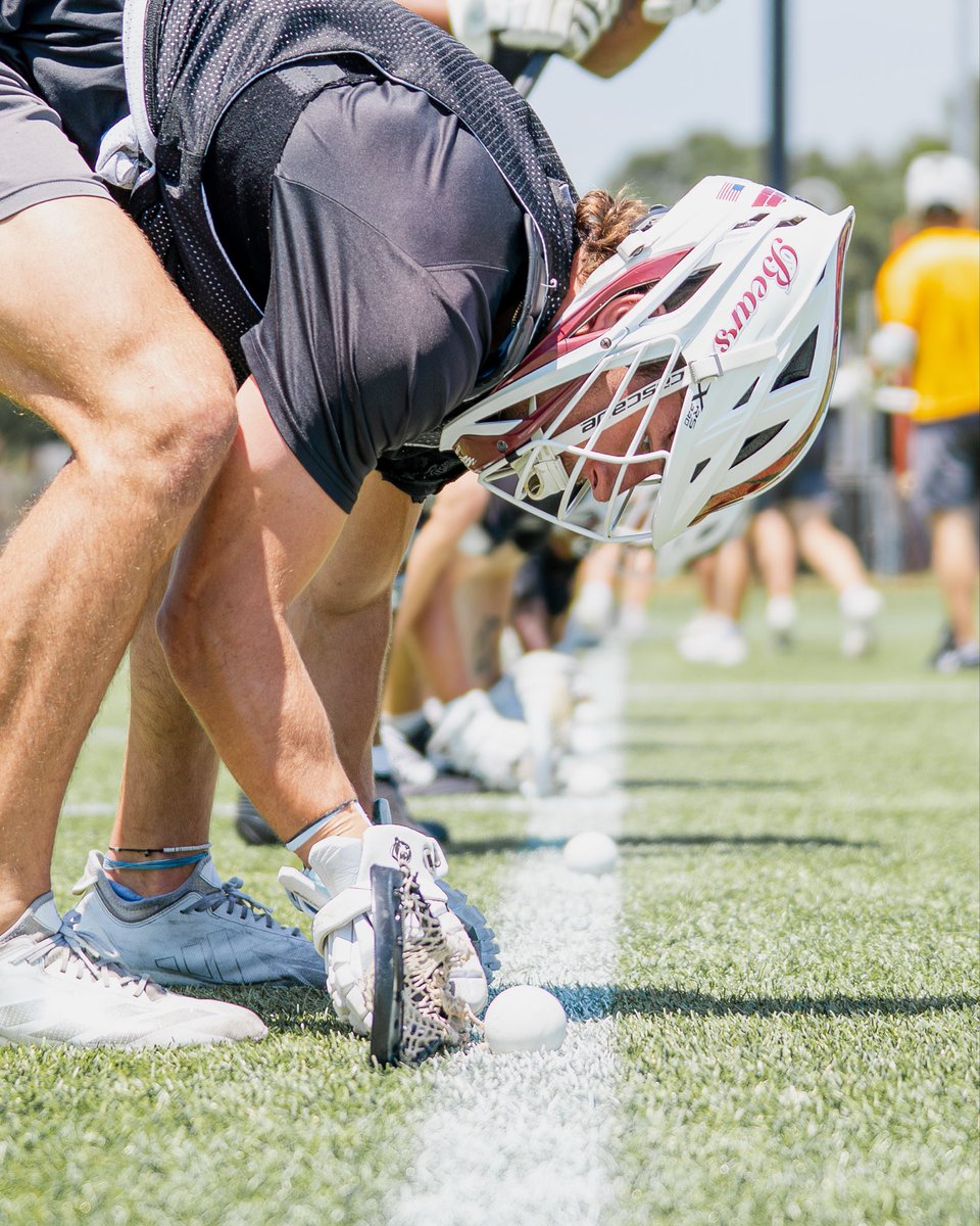 LRUMLAX's tweet photo. Final preparations…
🌴 🥍 🐻 https://t.co/SHUSHIYHRf