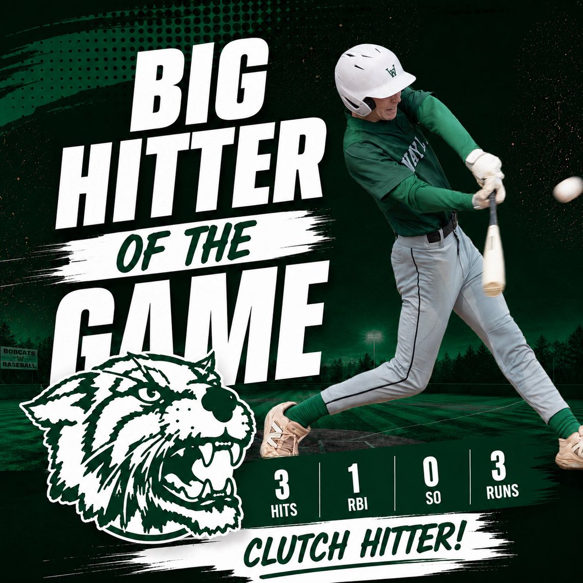 Wayland Wildcat Baseball tweet media