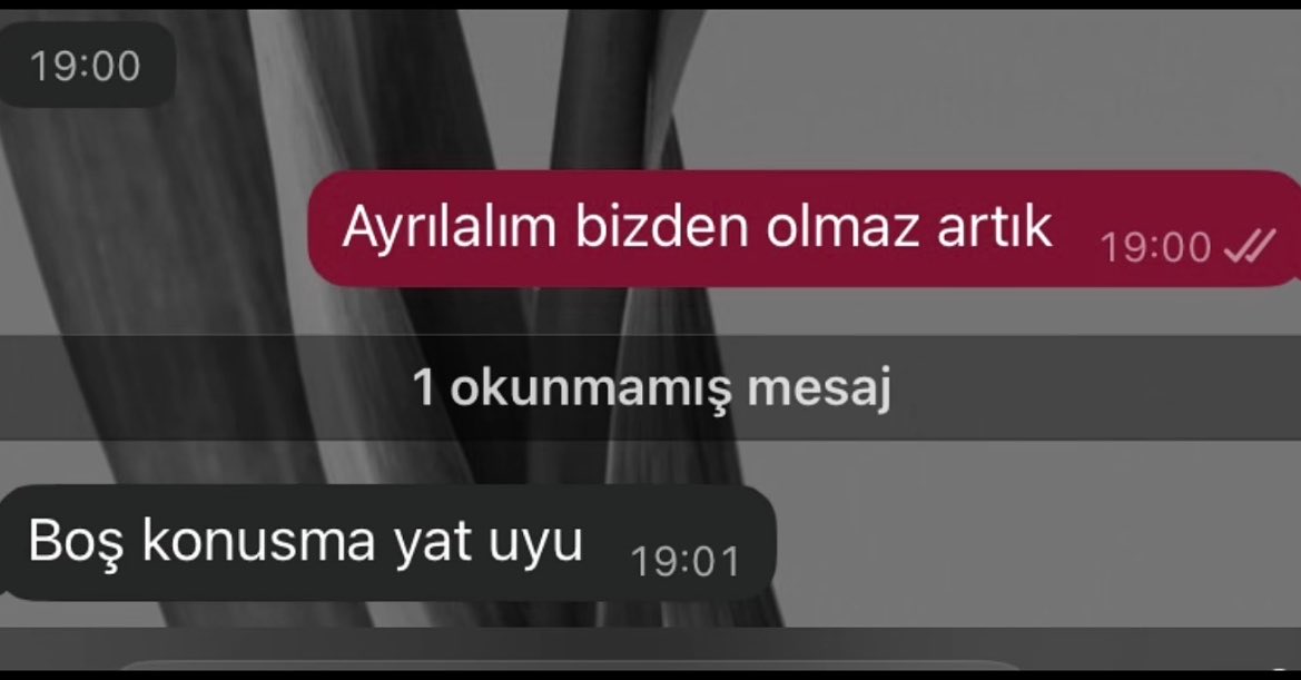 bade tweet media