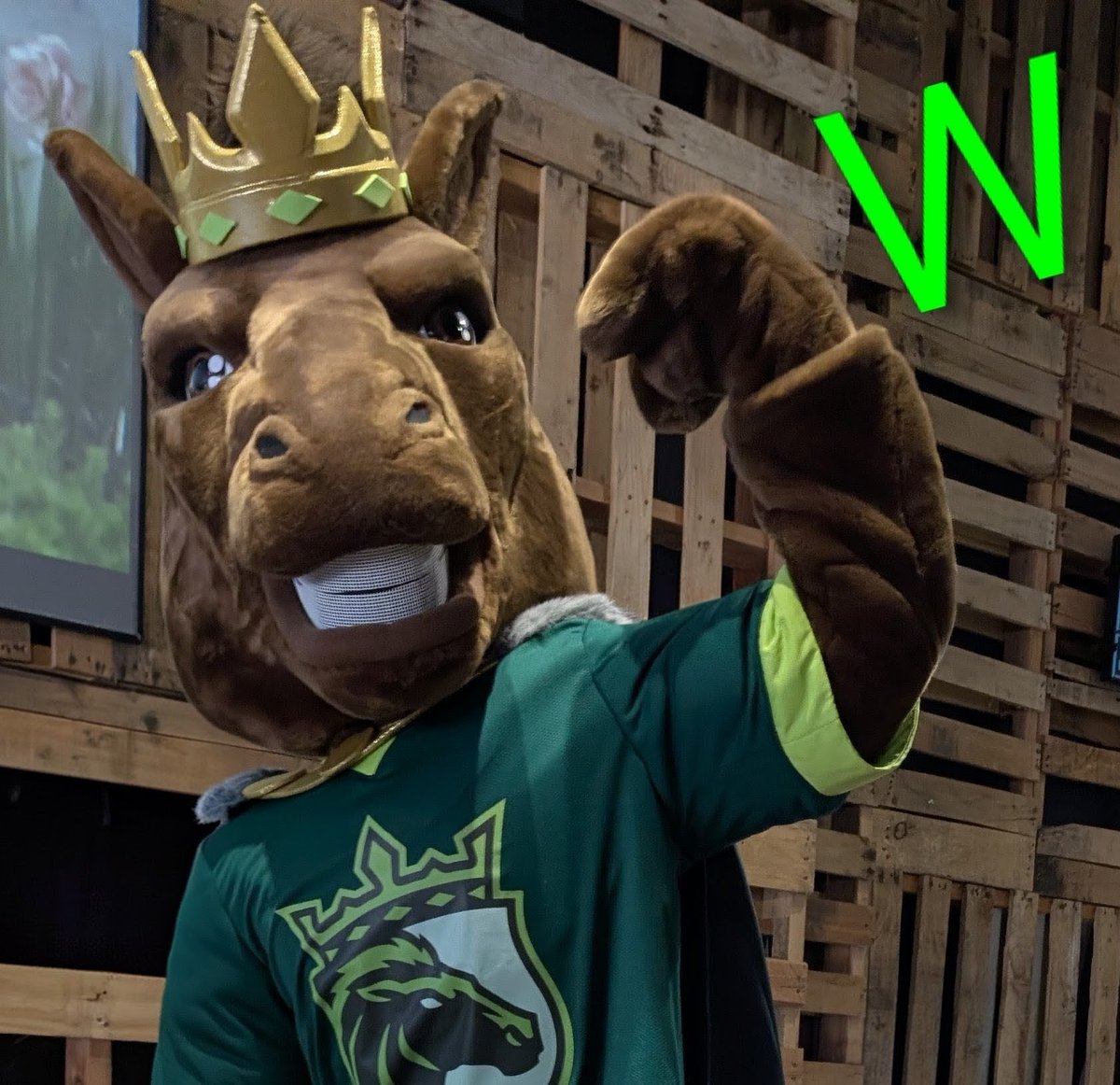 uflkingscourt's tweet photo. 𝗕𝗜𝗚 𝗧𝗜𝗠𝗘 𝗪 - SEE YA NEXT WEEK AT THE FAM!

#UnitedWeReign 🐴👑🏈 https://t.co/ASlOf0SVe0