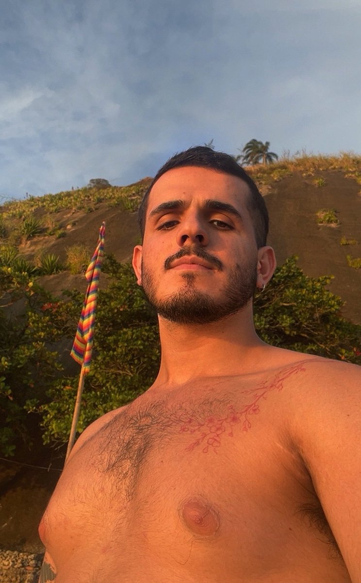 Seninha tweet media
