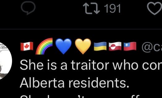 step_back_three's tweet photo. @casualcactii You have this many flags in your bio and you are calling her a traitor? I guess being low iq comes with being left wing https://t.co/wxaItdkdmq
