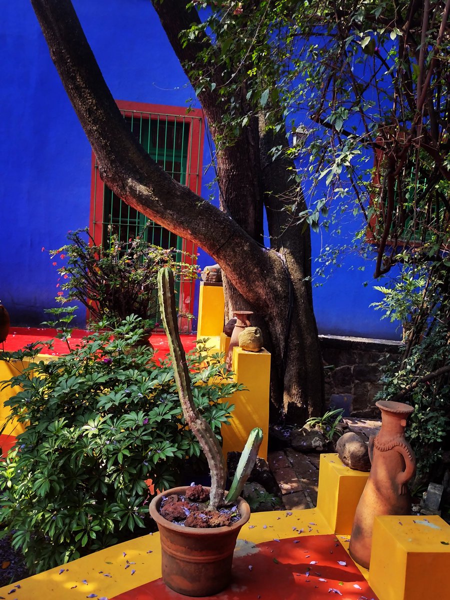 RPirog's tweet photo. #mexico #xochimilco #fridakahlo https://t.co/ZAPItQXYFf