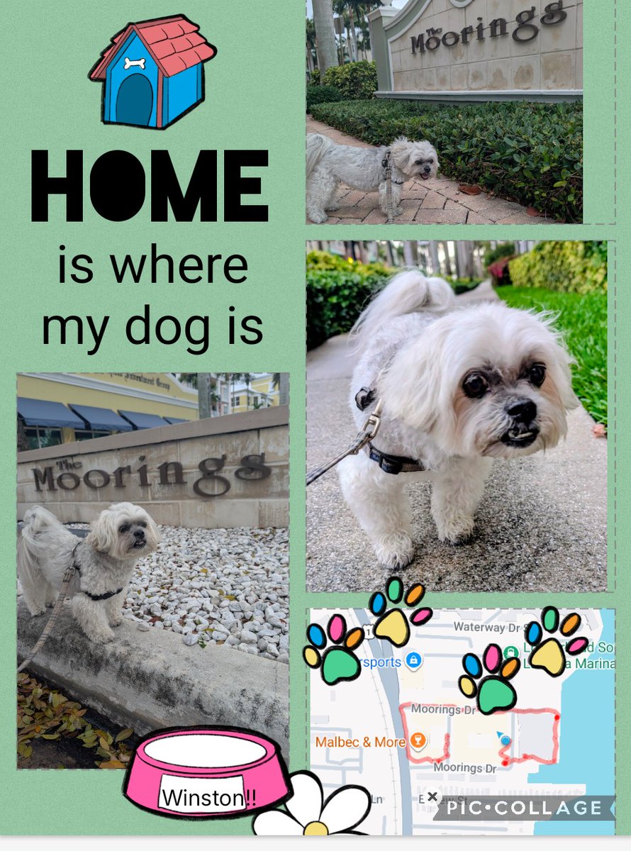 GoodDog561's tweet photo. Summer holidays are just around the corner. Don't forget to book your pet sitter! #summervacation #petsitter #memorialday #lakeworthflorida #lantanaflorida https://t.co/5LVk7rXpoV
