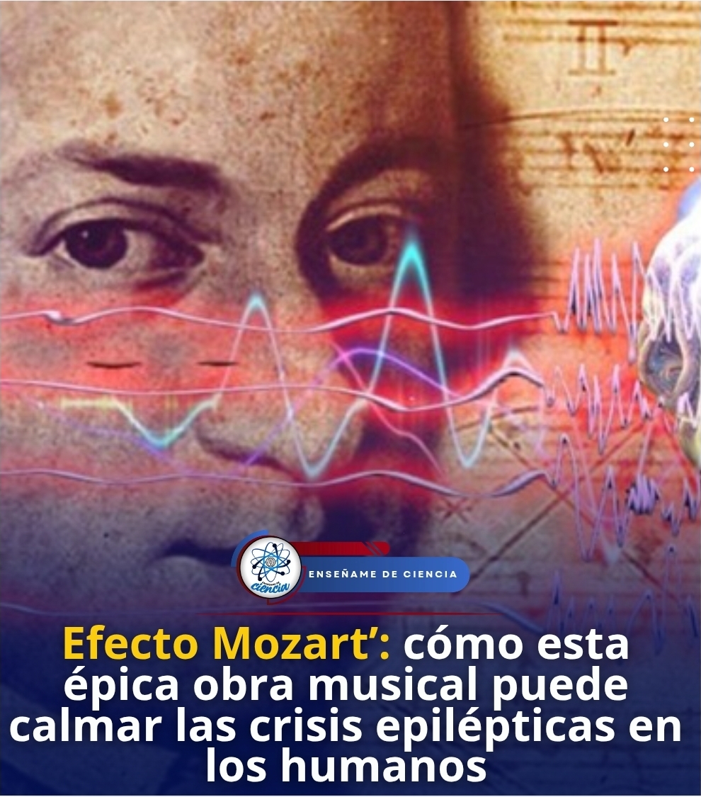 🚨Un estudio publicado en la revista Scientific Reports menciona que se ha encontrado una esperanza para mejorar la calidad de vida de las personas que padecen epilepsia mediante una terapia inesperada: la música clásica.