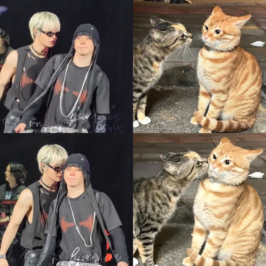 mwa (˶ ˘ ³˘)ˆᵕ ˆ˶) <3