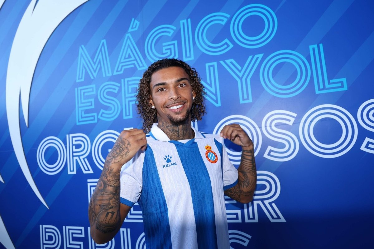 El perico optimista tweet media
