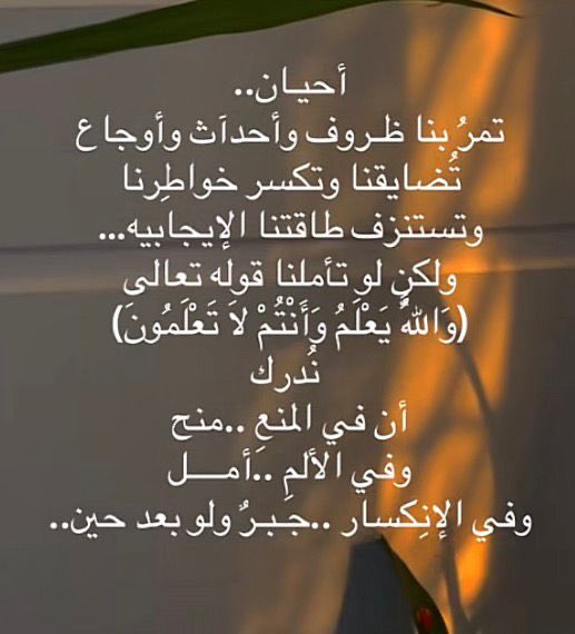 بثينة زكريا مُرشد tweet media