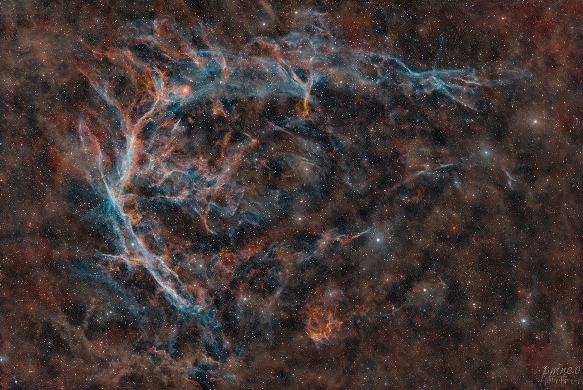 Insight Observatory tweet media