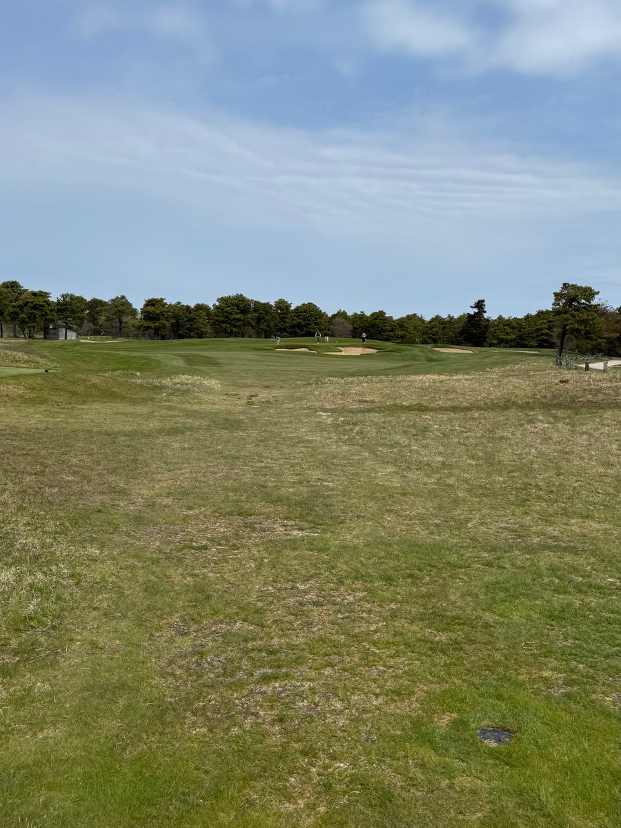 T13Rex's tweet photo. Miacomet on Nantucket Island   , cold and windy . But a proper links course https://t.co/G9BESiqiQf