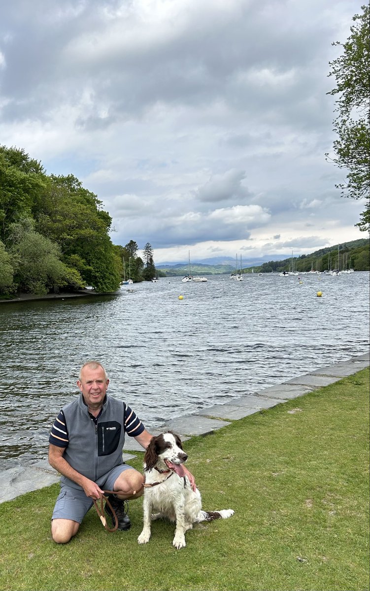 Arthur the Springer tweet media