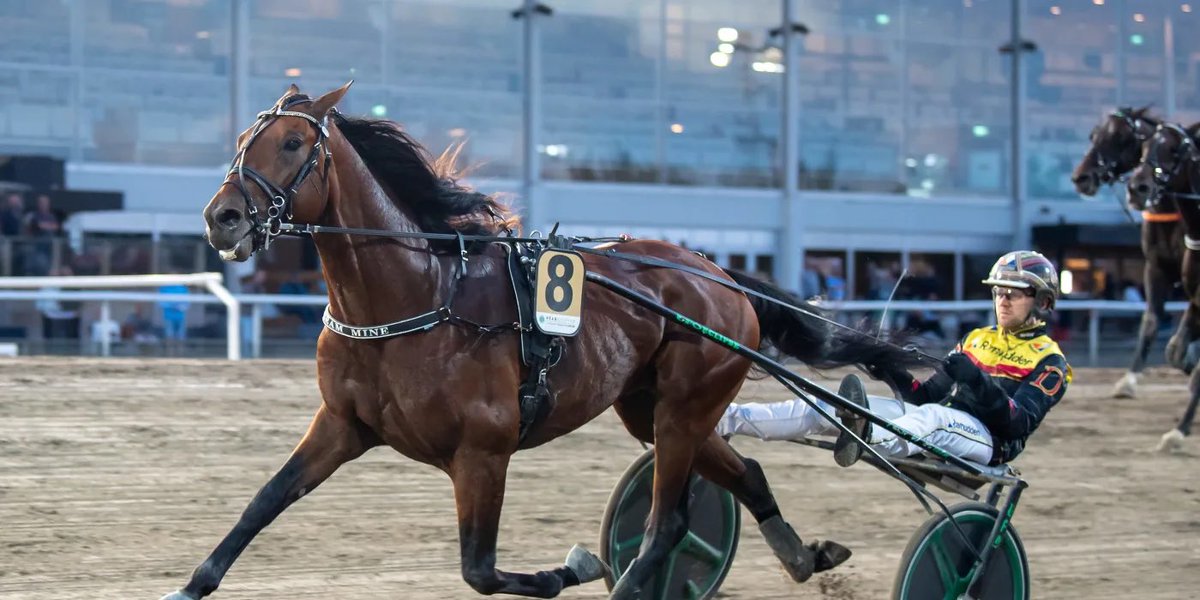 HarnessWorldoff's tweet photo. Dream Mine is the tenth horse invited to the Elitloppet 2026 https://t.co/8ZHE5i2mY5
