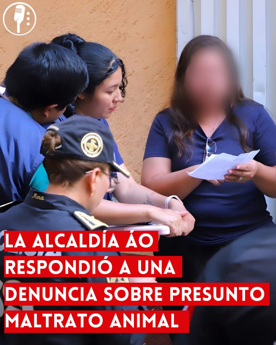 Los Reporteros MX tweet media