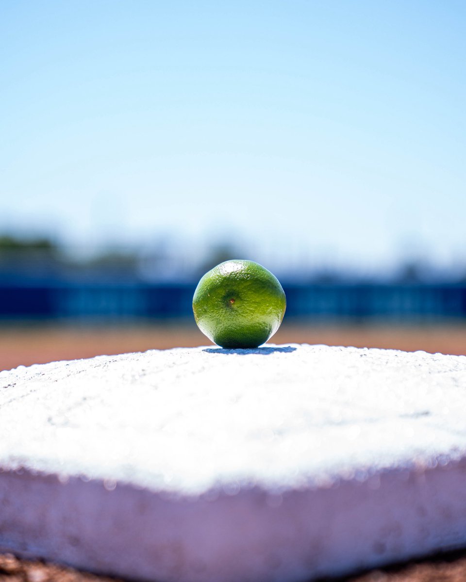 Loyola Softball tweet media