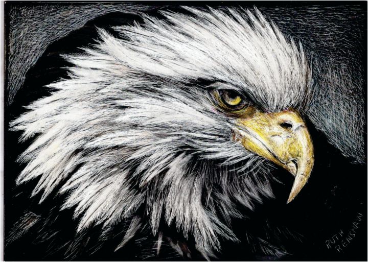 ruthrenshaw's tweet photo. Art of the Day! "Eagle Eye". Buy at: https://t.co/NDMXx9eg1H https://t.co/eSJyyTT3hF